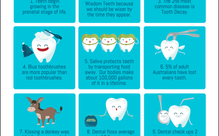  10 Interesting Facts About Teeth