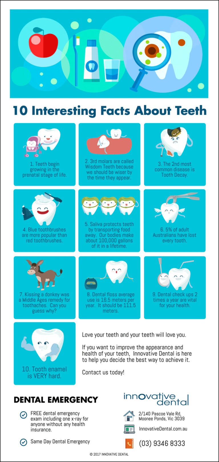 10 Interesting Facts About Teeth | Innovative Dental