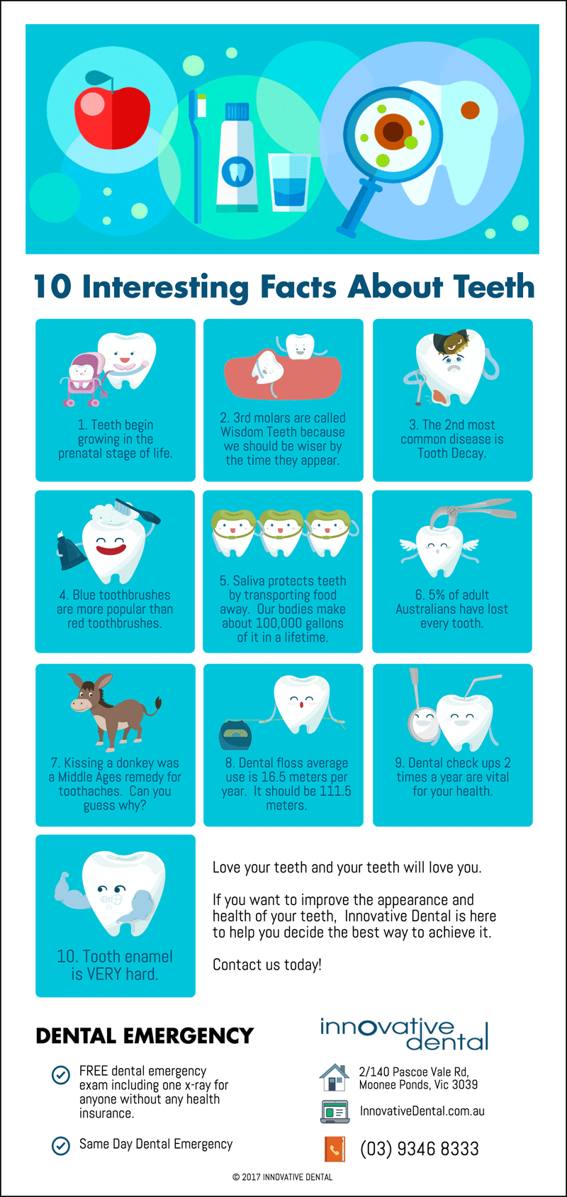 10 Interesting Facts About Teeth